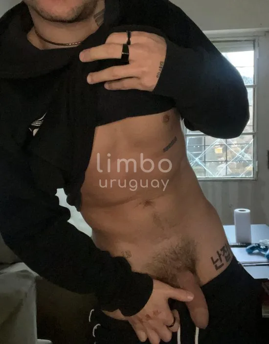 Foto de Lobo Semi-Domesticado, escort en Montevideo