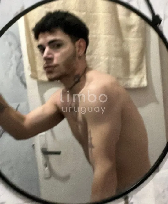 Foto de Lobo Semi-Domesticado, escort en Montevideo