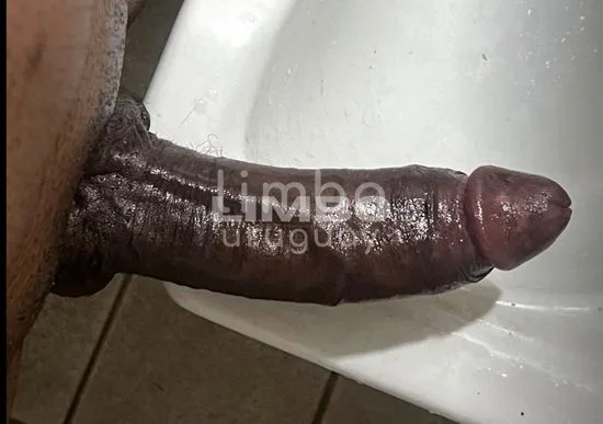 Foto de Pijudo Venoso, escort en Aguada, Montevideo