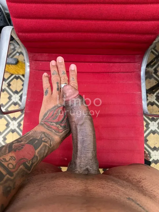 Foto de Pijudo Venoso, escort en Aguada, Montevideo
