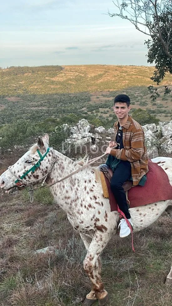 Foto de Martin, escort en Pocitos, Montevideo